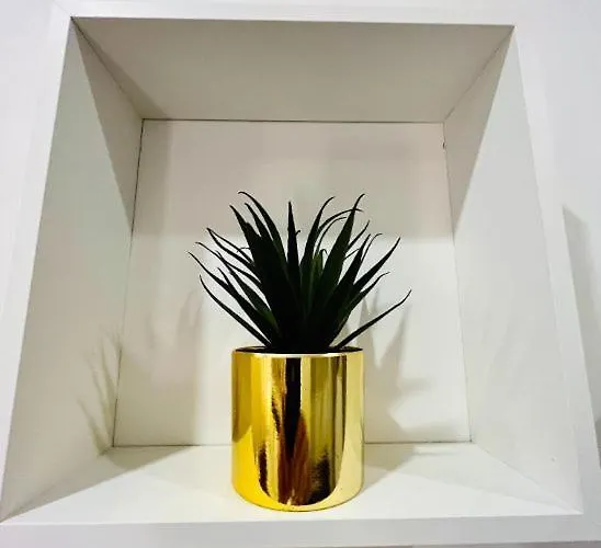 Gæstehus 5 Vatican 4*