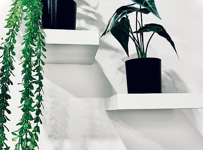 Gæstehus 5 Vatican 4*