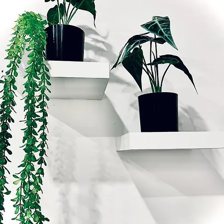 بيت ضيافة 5 Vatican 4*